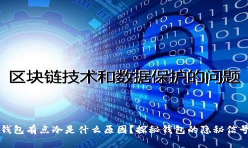 钱包有点冷是什么原因？探秘钱包的隐秘信号