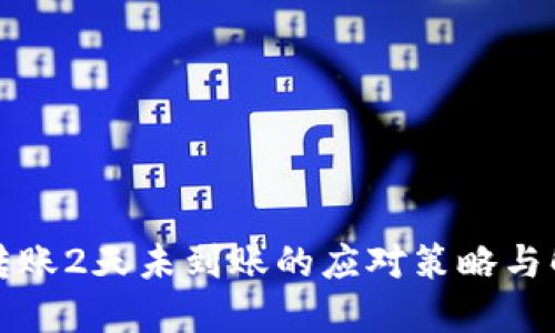 比特派转账2天未到账的应对策略与解决方案