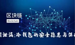 助记词泄漏：冷钱包的安全隐患与保护策略