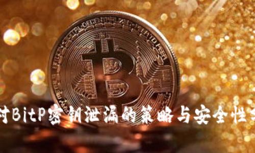 应对BitP密钥泄漏的策略与安全性分析
