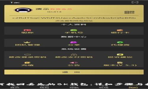 如何找回丢失的BK钱包：详细步骤与技巧