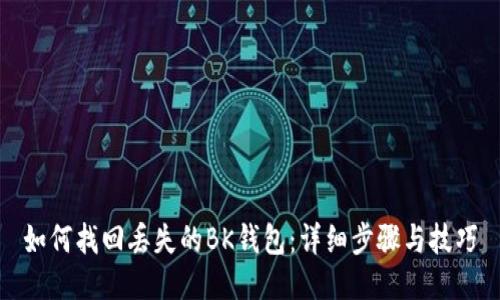 如何找回丢失的BK钱包：详细步骤与技巧