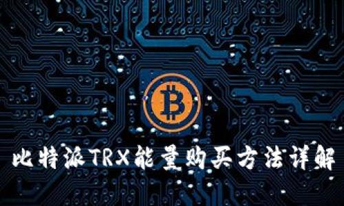 比特派TRX能量购买方法详解