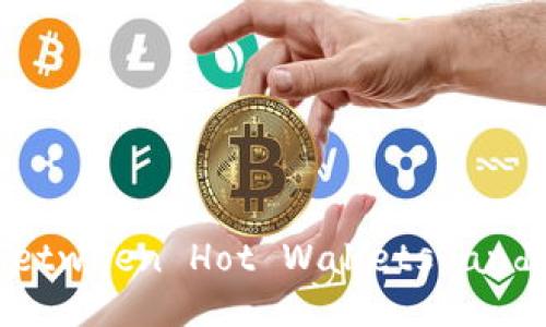 Understanding the Difference between Hot Wallets and Cold Wallets in Cryptocurrency