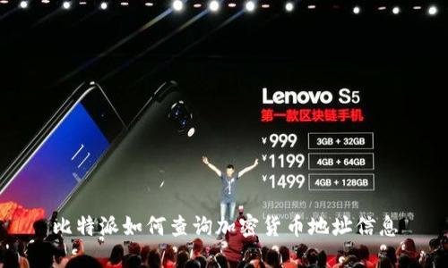 比特派如何查询加密货币地址信息