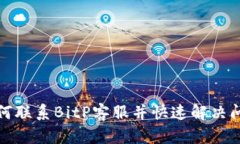 如何联系BitP客服并快速解决问题