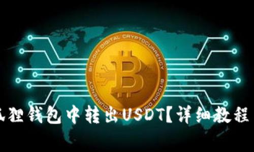 如何在小狐狸钱包中转出USDT？详细教程与注意事项