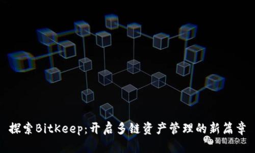 探索BitKeep：开启多链资产管理的新篇章