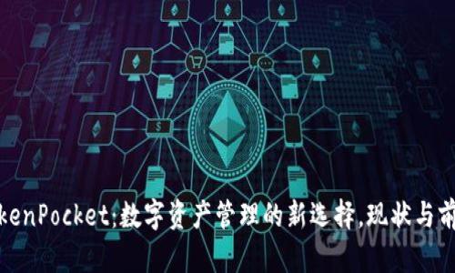 TokenPocket：数字资产管理的新选择，现状与前景
