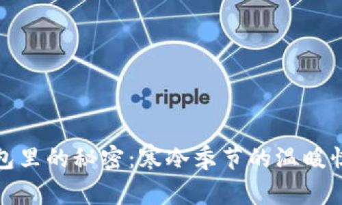 钱包里的秘密：寒冷季节的温暖惊喜