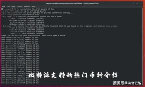 比特派支持的热门币种介绍