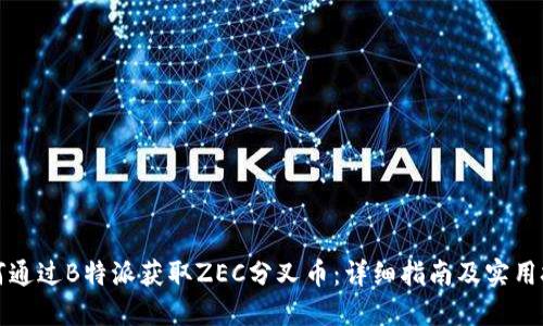 如何通过B特派获取ZEC分叉币：详细指南及实用技巧