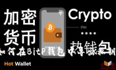 如何在BitP钱包中导出私钥？