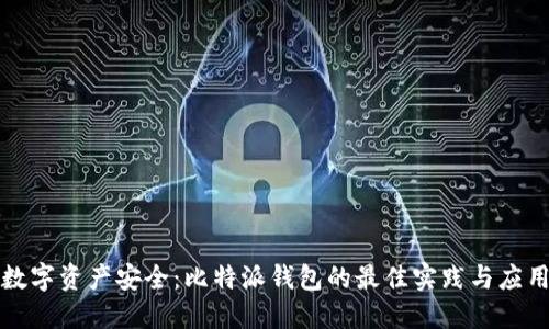 确保数字资产安全：比特派钱包的最佳实践与应用场景