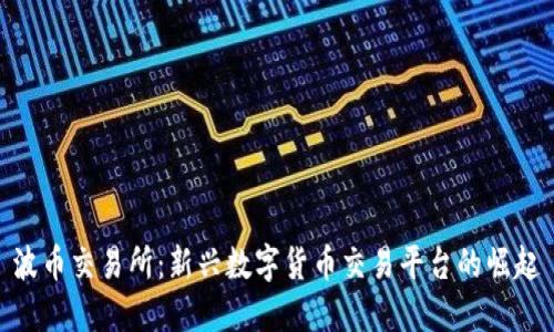 波币交易所：新兴数字货币交易平台的崛起