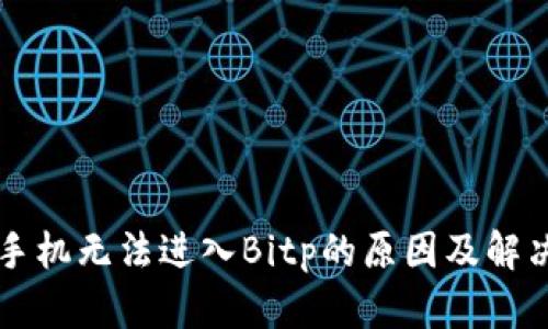 苹果手机无法进入Bitp的原因及解决方案