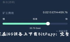 如何在iOS设备上下载BitPapp: 完整指南