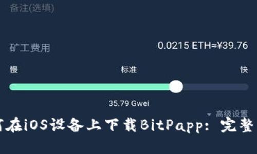 如何在iOS设备上下载BitPapp: 完整指南