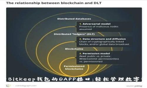探索BitKeep钱包的DAPP接口：轻松管理数字资产