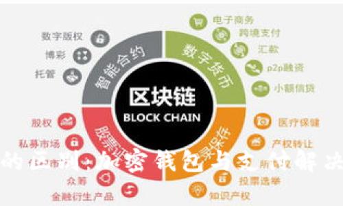 Bitpie与Bitpay的区别：加密钱包与支付解决方案的深度解析