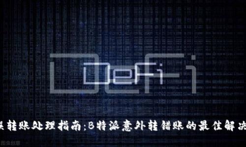  错误转账处理指南：B特派意外转错账的最佳解决方案