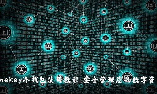 OneKey冷钱包使用教程：安全管理您的数字资产
