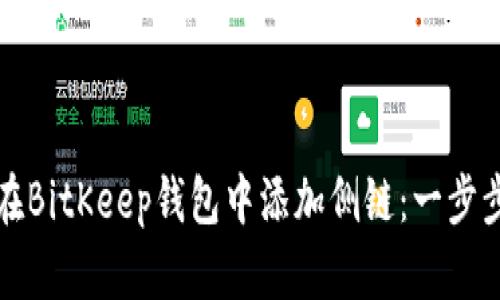 如何在BitKeep钱包中添加侧链：一步步指南