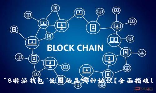 “B特派钱包”使用的是哪种协议？全面揭晓！
