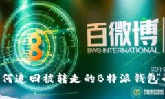 如何追回被转走的B特派钱包币？