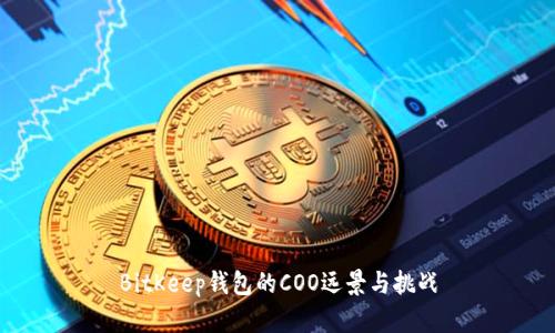 BitKeep钱包的COO远景与挑战