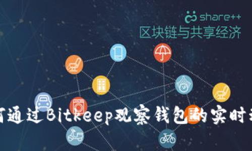 如何通过Bitkeep观察钱包的实时动态