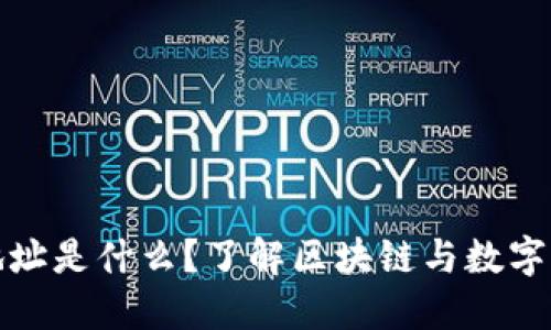 波场钱包地址是什么？了解区块链与数字货币的基础