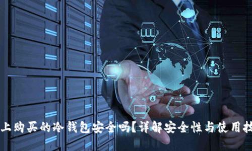 网上购买的冷钱包安全吗？详解安全性与使用技巧