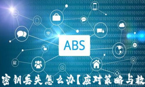 
比特币密钥丢失怎么办？应对策略与救赎之路