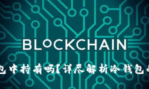 Pepe币能在冷钱包中持有吗？详尽解析冷钱包的安全性与重要性