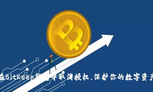 如何在BitKeep钱包中取消授权，保护你的数字资产安全