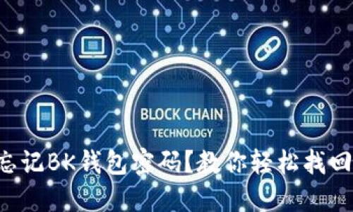 忘记BK钱包密码？教你轻松找回！