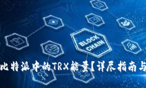如何获取比特派中的TRX能量？详尽指南与实用技巧