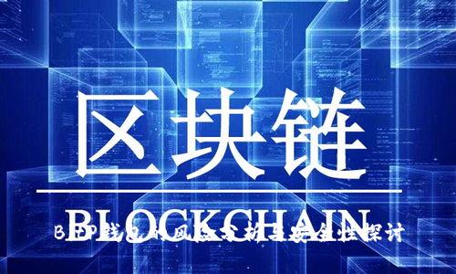 BitP钱包的风险分析与安全性探讨