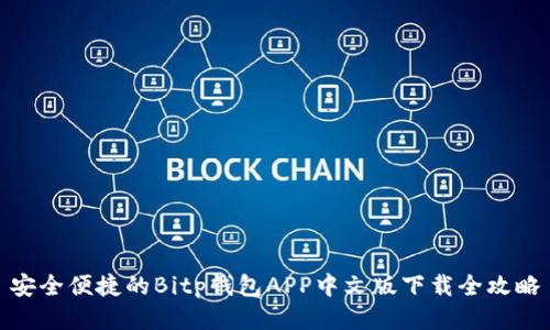 安全便捷的Bitp钱包APP中文版下载全攻略