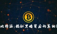 比特派：揭秘黑暗背后的真相！
