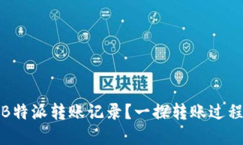如何查看B特派转账记录？一探转账过程的透明性