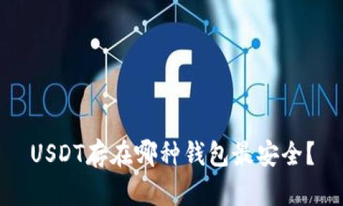 USDT存在哪种钱包最安全？