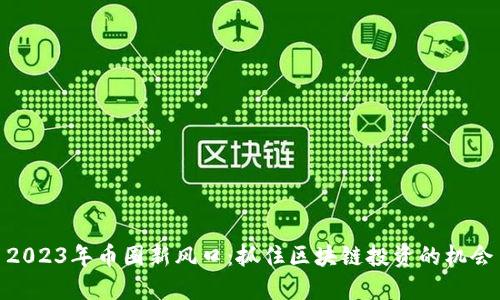 2023年币圈新风口：抓住区块链投资的机会