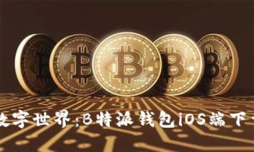 畅游数字世界：B特派钱包iOS端下载指南