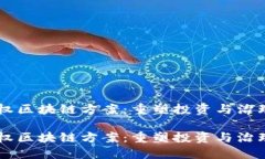 币股同权区块链方案：重塑投资与治理新生态币