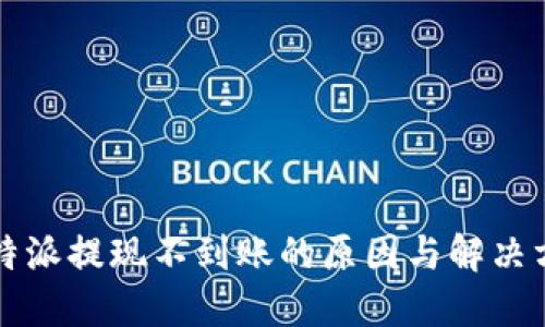 比特派提现不到账的原因与解决方案