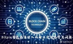 Bitpie钱包无法进入的解决方法及常见问题