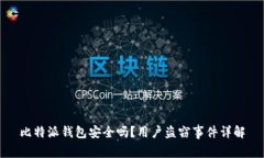 比特派钱包安全吗？用户盗窃事件详解