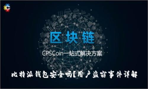 比特派钱包安全吗？用户盗窃事件详解